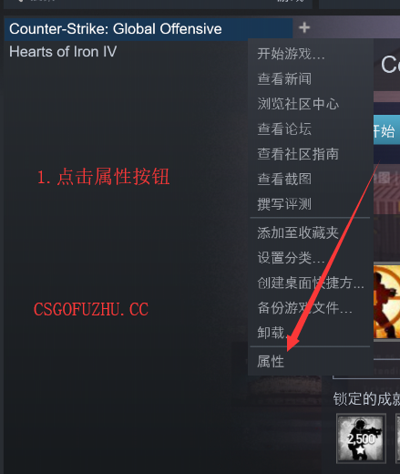 csgo国服启动项在哪设置？csgo国际服与国服启动项自由切换