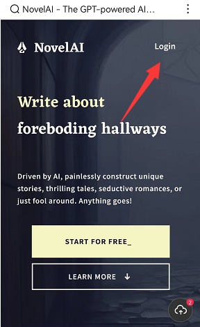 novelai怎么注册 novelai怎么用