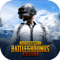 pubg m国际服地铁逃生 安装