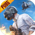 pubg mobile国际服安装