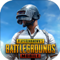 pubgmobile国际服官方正版