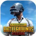 PUBG MOBILE官方版