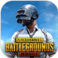 pubgmobile国际服手游官方