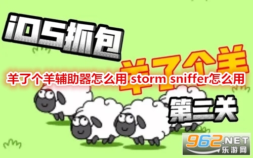 羊了个羊辅助器怎么用 storm sniffer怎么用