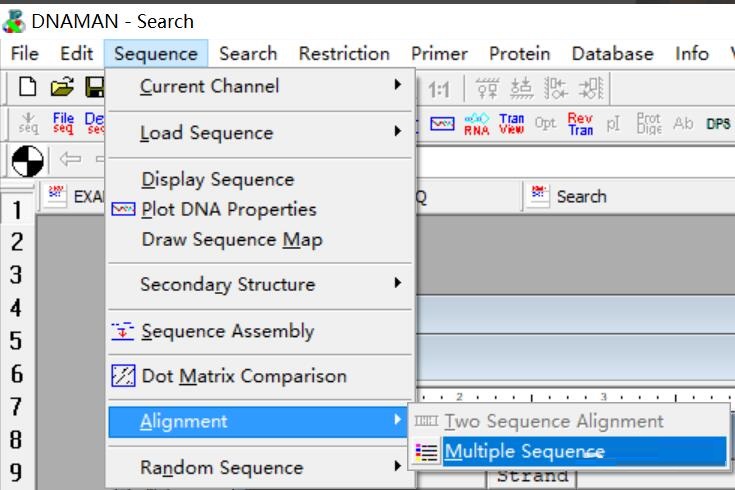 使用DNAMAN怎么对比核酸序列