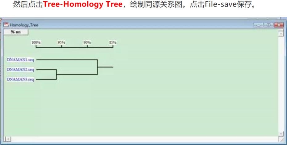 使用DNAMAN怎么对比核酸序列