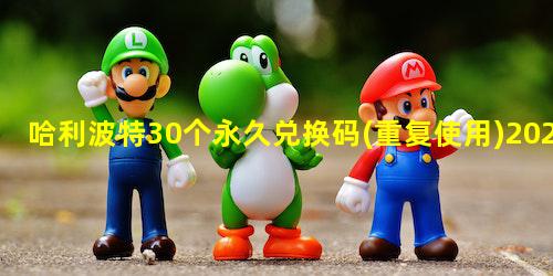 哈利波特30个永久兑换码
