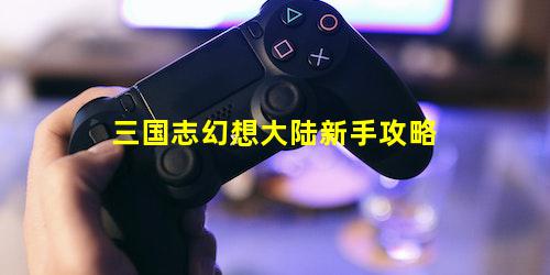 三国志幻想大陆新手攻略