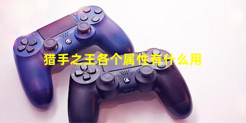 猎手之王各个属性有什么用