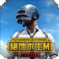 pubg国际服手游正版地铁逃生