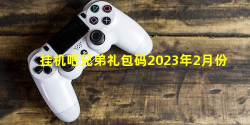 挂机吧兄弟礼包码2023年2月份