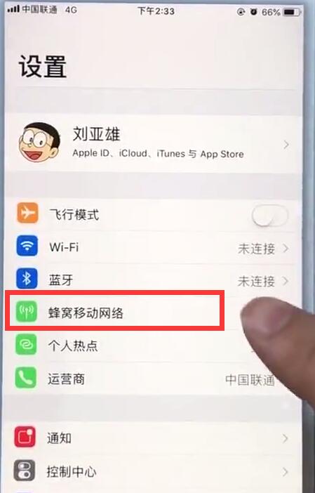 在苹果7plus中查看移动流量的详细讲解截图