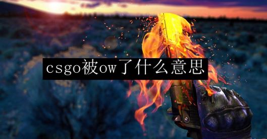 csgo被ow是什么意思 游戏ow监管封禁介绍