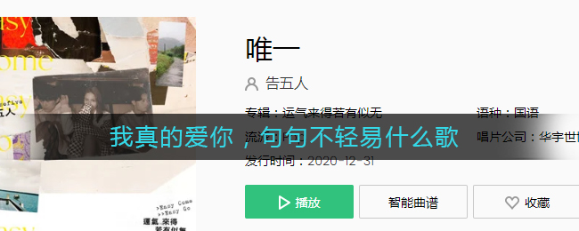 我真的爱你，句句不轻易什么歌