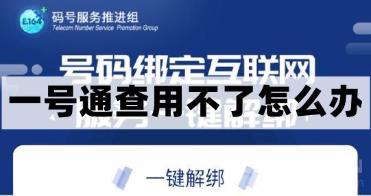 一号通查打不开怎么办-一号通查无法打开原因及解决办法